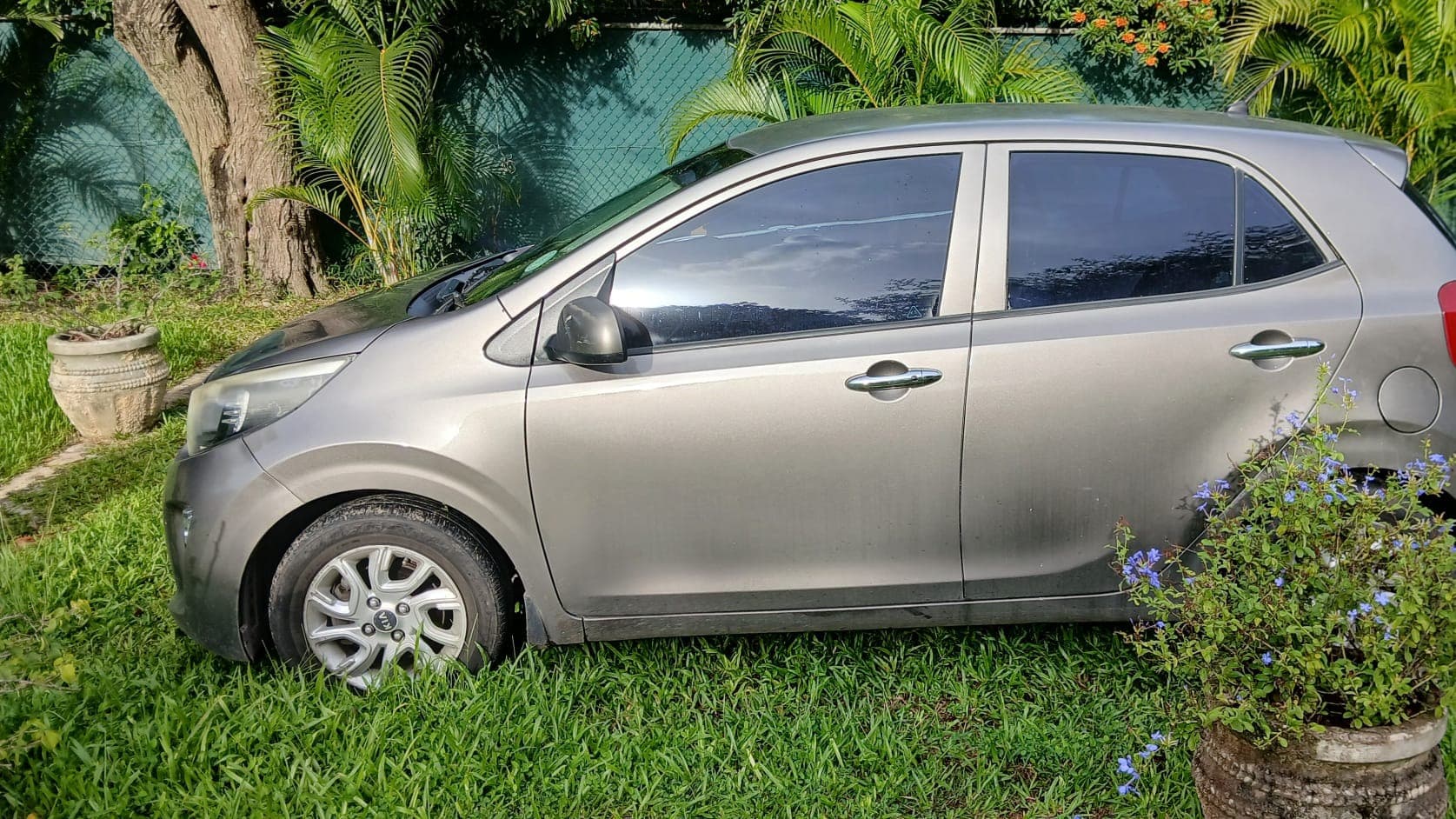 Kia Picanto rental in Barbados from Sheeda Gold Transport
