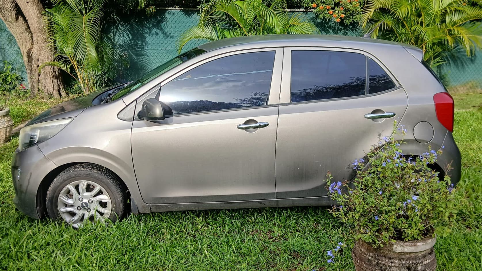 2019 Kia Picanto